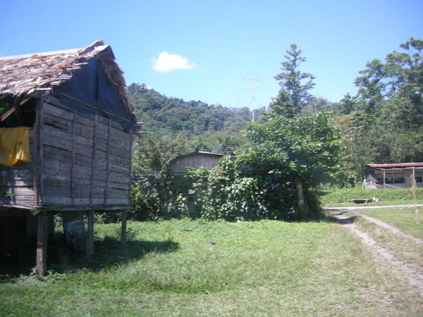 House on Stilts, Cahuita