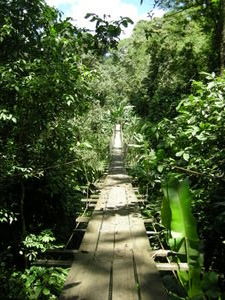 A very wobbly bridge, Cahuita