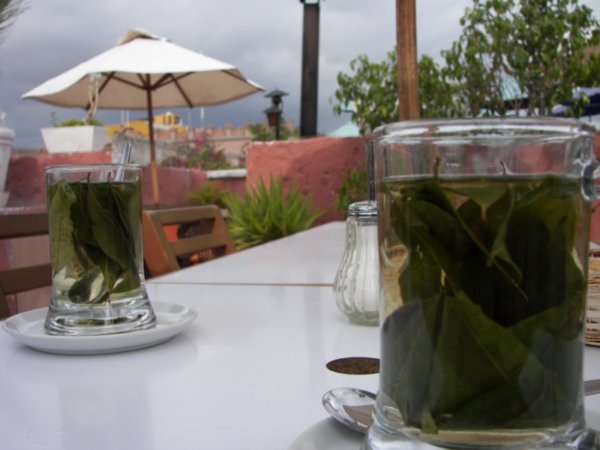 Coca leaf teas, the real deal!