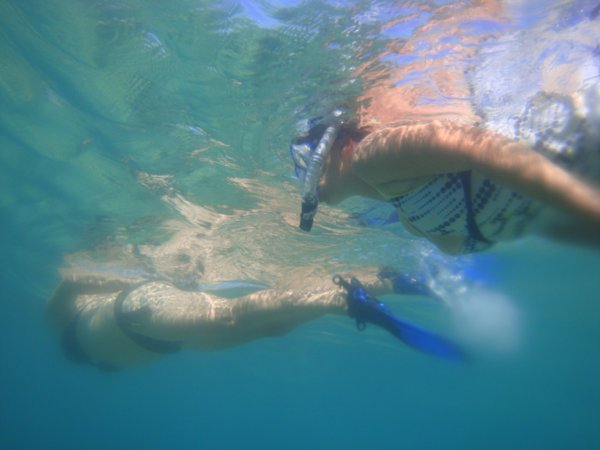 Snorkel mania!