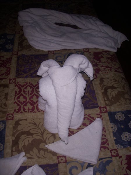 Sweet elephant towel sculpture!