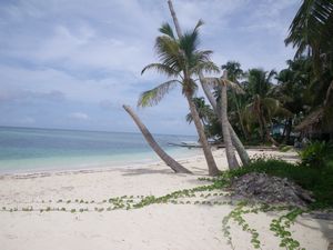 Ranguana caye for lunch