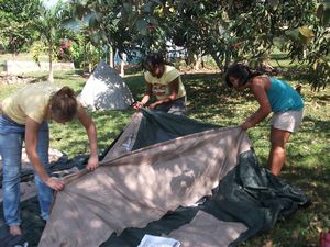 Setting up our king size tent in the illegal area