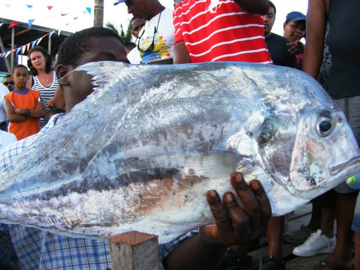 African Pompano fish