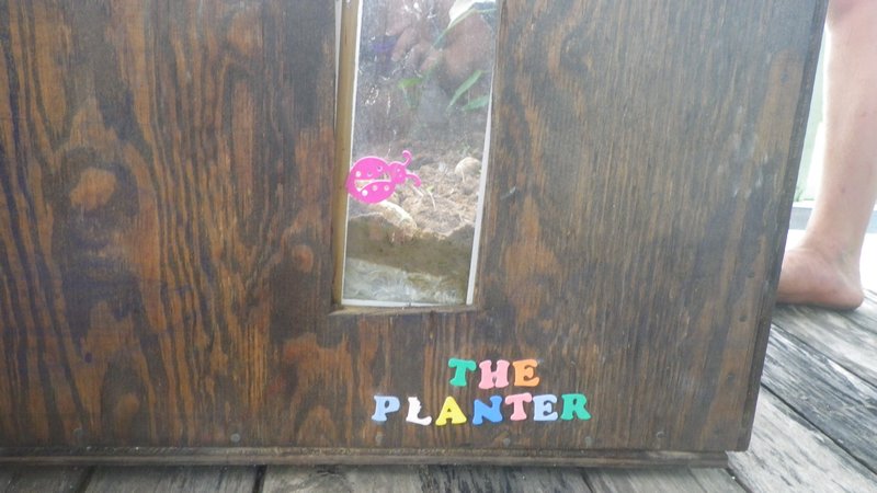 The Planter, with a peek-a window