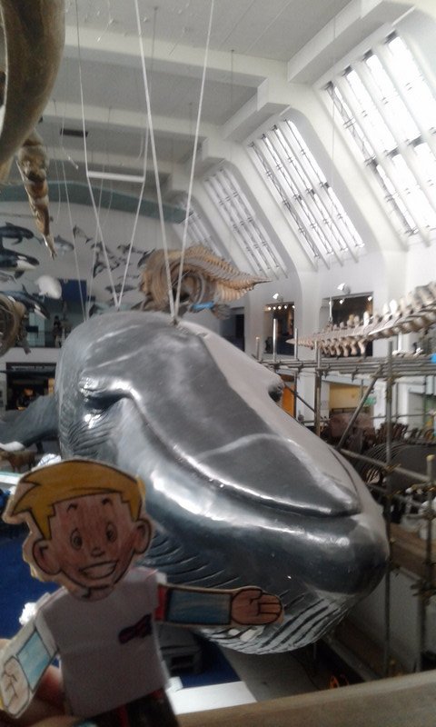 Stanley and the Blue Whale