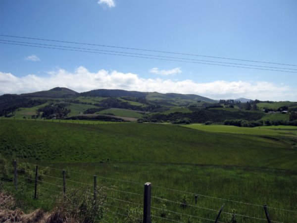 Rolling hills near Dunedin