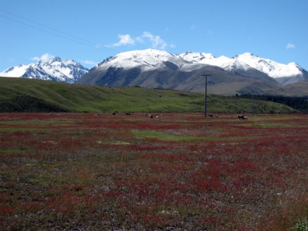 Southern Alps