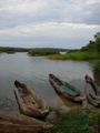 makurus - Jungle Junction - Zambezi River