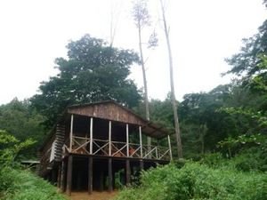 Our Cabin at the Trout Farm on the Zomba Plateau - Hard to Believe it was Africa