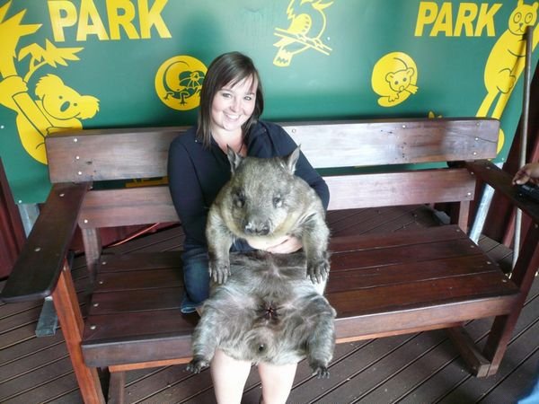 Emma & The Wombat