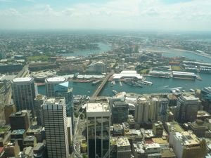 View from the Sydney Tower