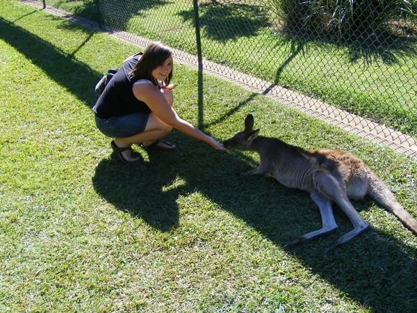 Emma and the Roo