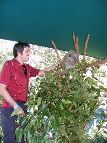 Gary and the sleepy Koala