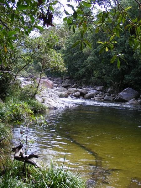 Mossman Gorge River 2