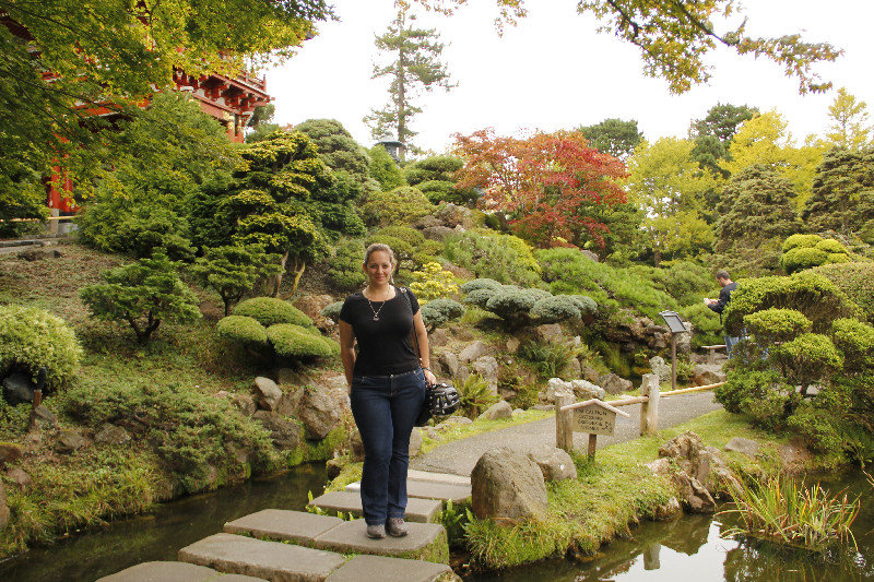 Japanese tea gardens