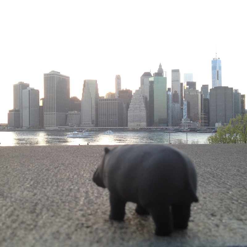 Frank checks out the cityscape