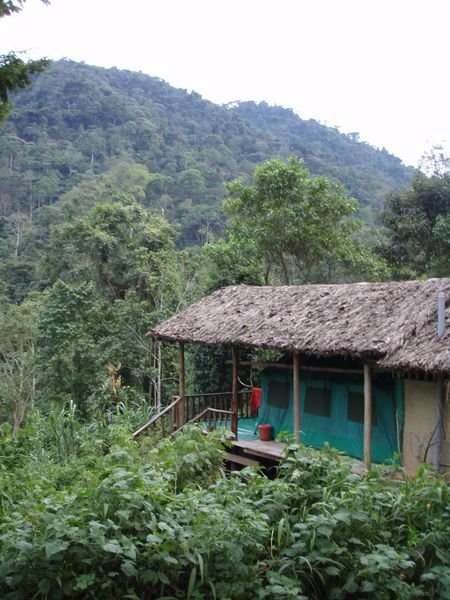 Our Tent at Bwindi