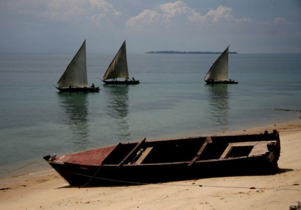Fishing Boat and Dhows