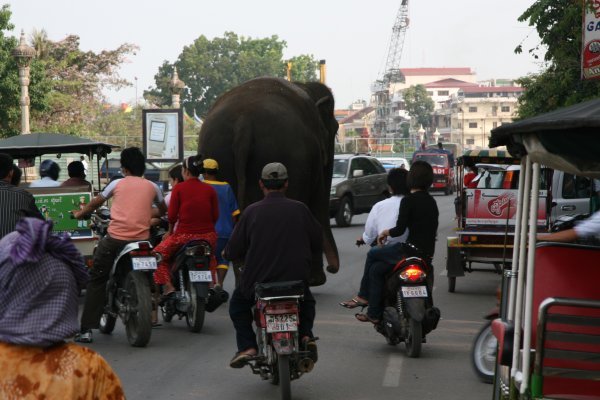 Traffic..Phnom Penh Style