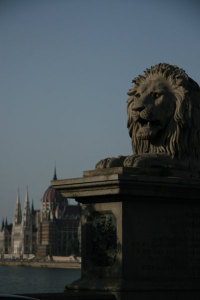 Lion Statue, Chain Bridge