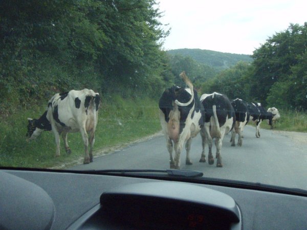 Traffic jam in Southern France
