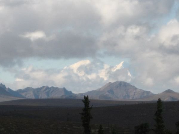 Mt. Denali