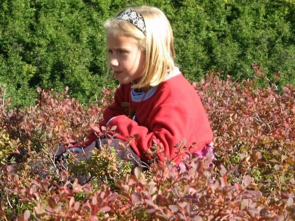 Gabbi in a patch of blueberries