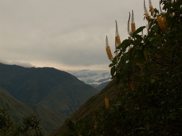 Peru, Salkantay 