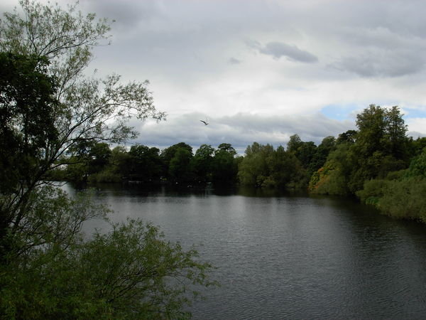 Airthrey Loch