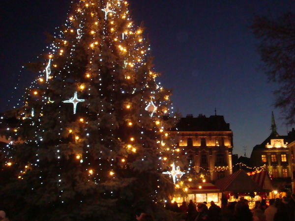 Christmas tree (Bratislava)