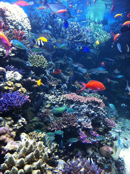 more aquarium fun