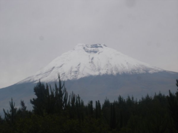 Cotopaxi from the bus