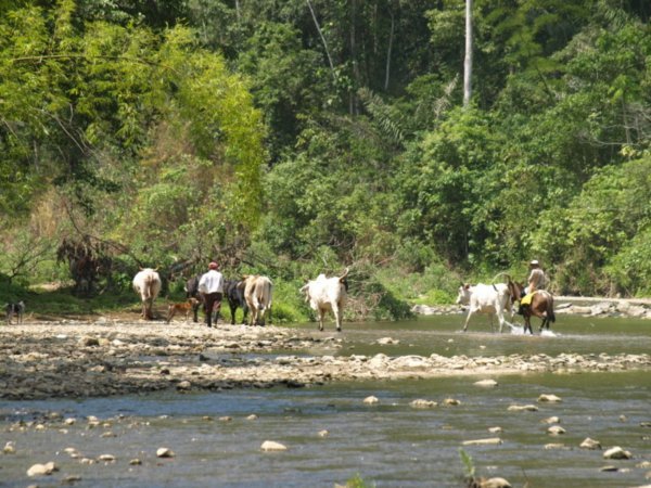Río Ayampe 