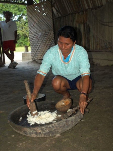 Indigena preparing chicha from yucca