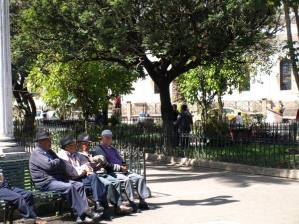 Old men in Plaza