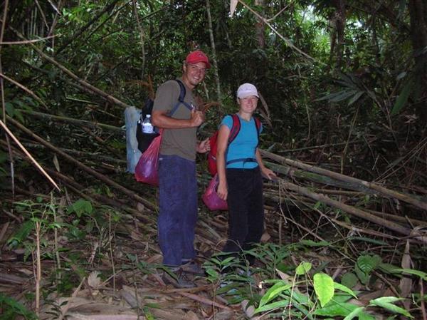 Trekking in World's oldest Jungle