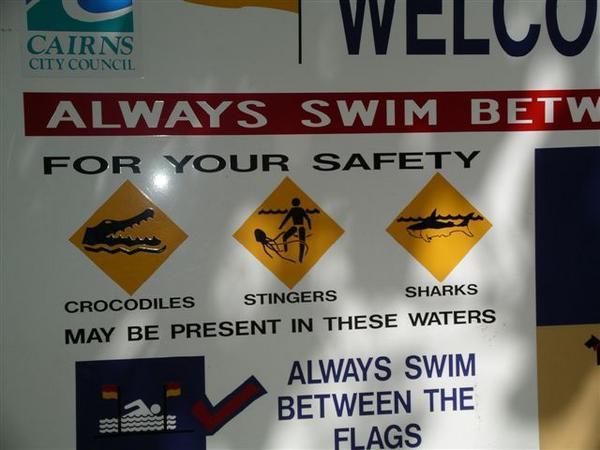 Swim if you dare