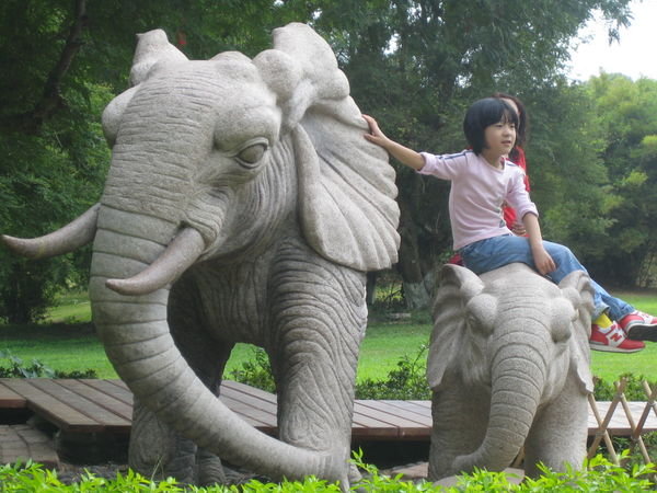 little elephant girl