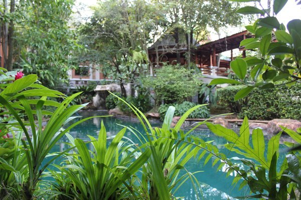 Our pool in Surat Thani
