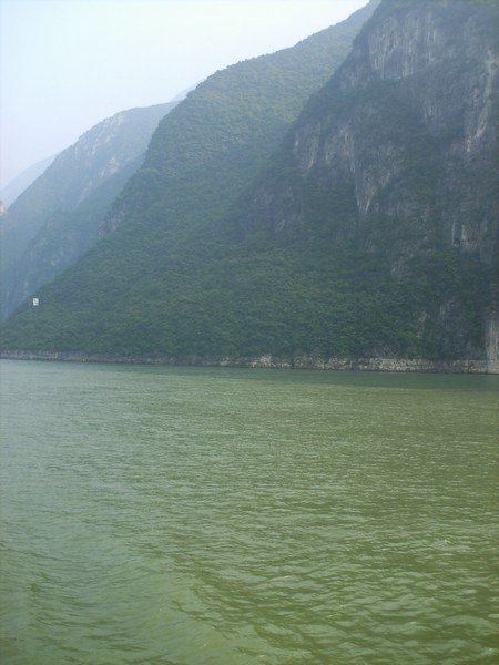 Misty Gorges