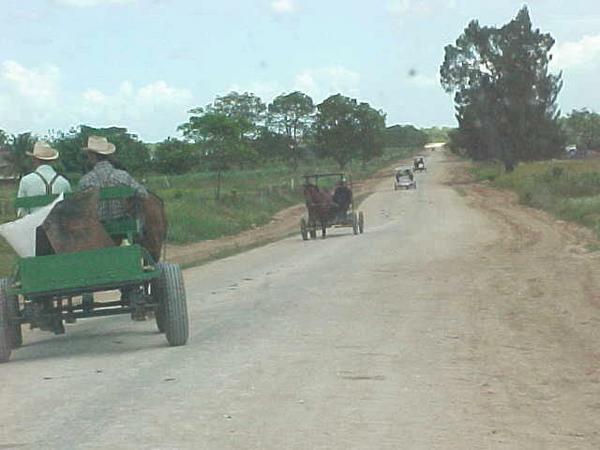 Rush Hour in Little Belize, Mennonite Community