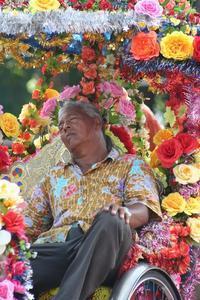 I fell asleep among the flowers...