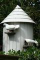 Doves in a Doocot in the English Country Garden