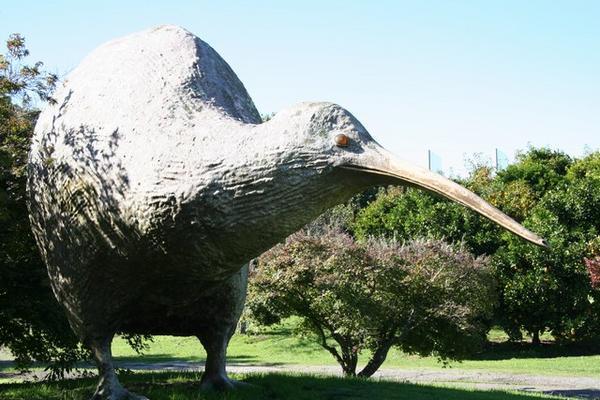 A Kiwi bird the size of a Tyranasaurus Rex. 