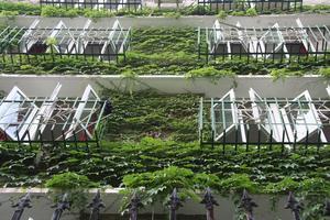 Leafy apartments in the French Concession