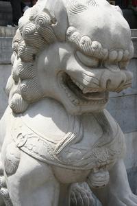 Chinese Lion...