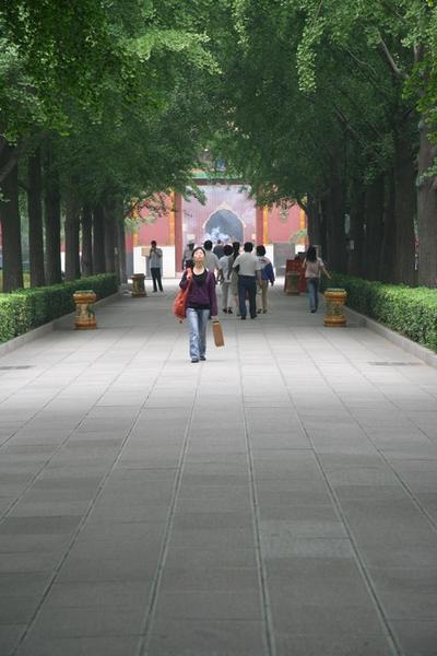 The path which leads to the Lama Temple