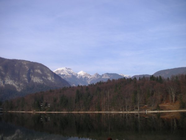 Lake View around Bled.