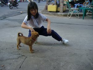 A local girl playing with a puppy outside her school
